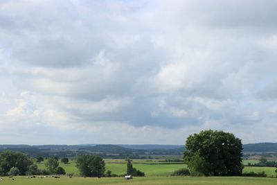 IMG_7736.JPG