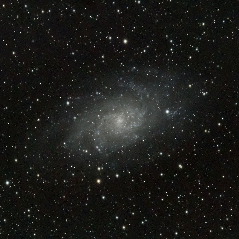 M33