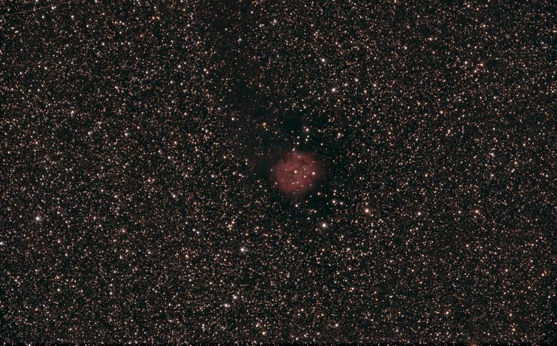 Cocoon Nebula