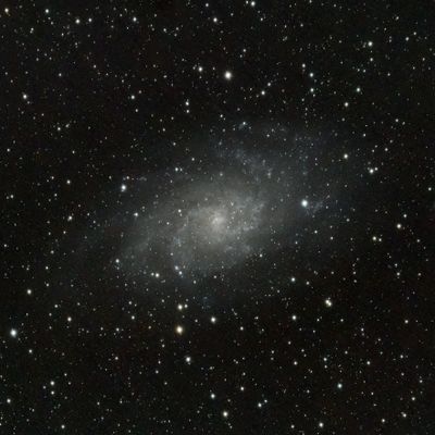 M33