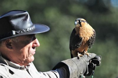 Birds of Prey Program at Brazos Bend State Park