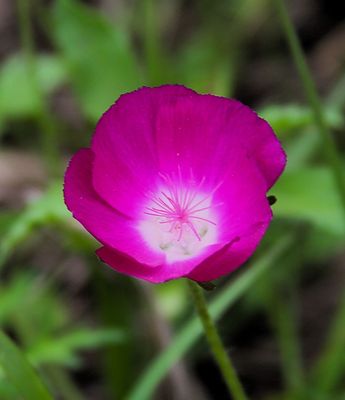 april_2025_pictures