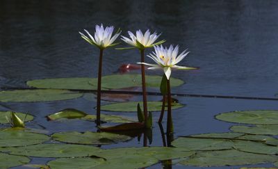 June 2025 Pictures