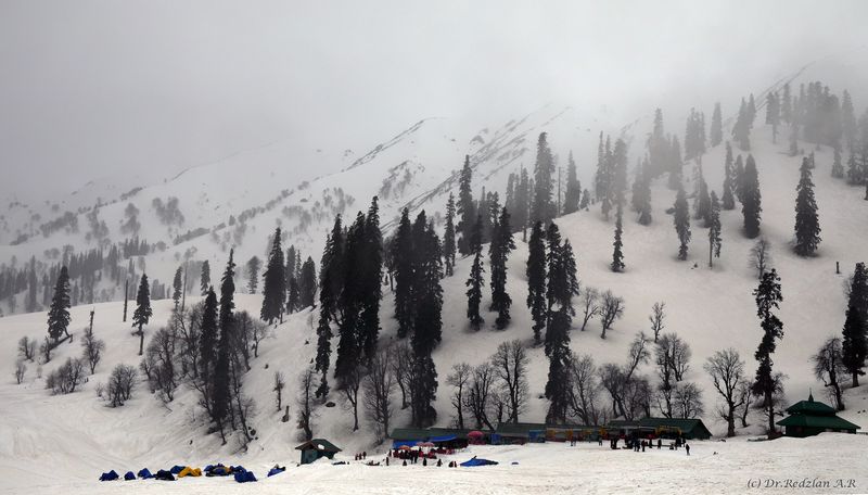 Kashmir Show - Gulmarg