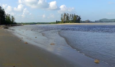 Buih di gigi air laut