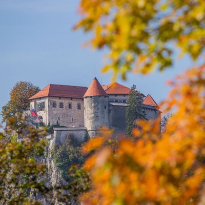 Kasteel van Bled