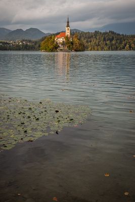 Lake Bled