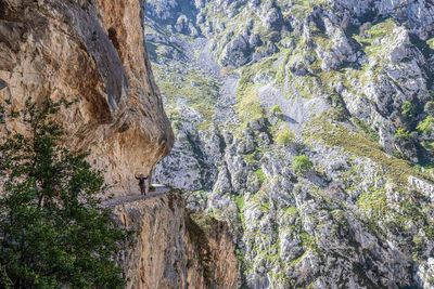 Ruta del Cares