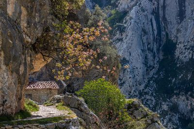 Ruta del Cares