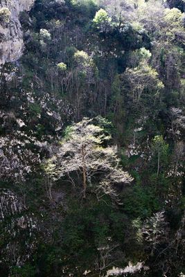Ruta del Cares