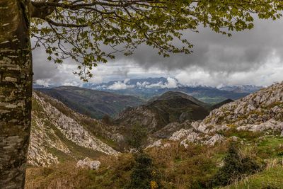 Picos de Europe