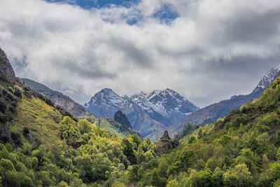 Picos de Europe