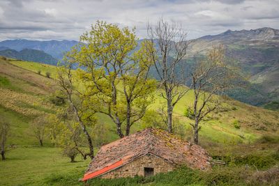Belmonte