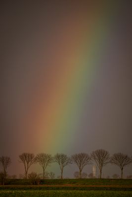 Nederland