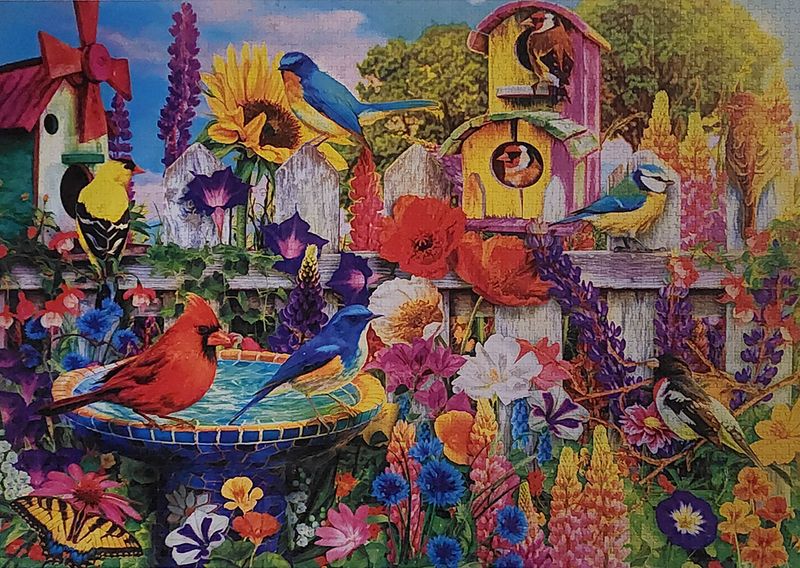 3000 Bird Bath Garden