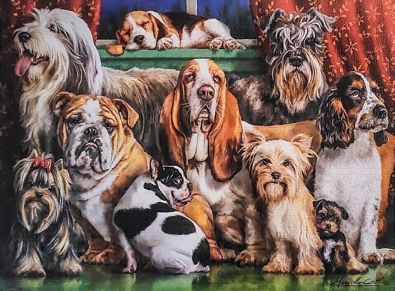 3000 Dog Club