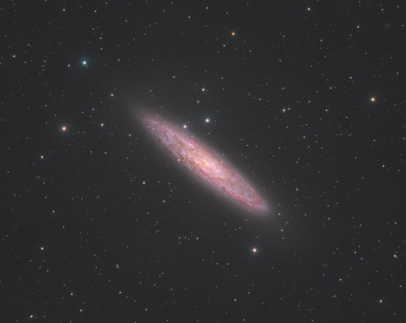 The Sculptor Galaxy NGC253