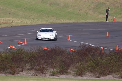 IMG_3612.JPG