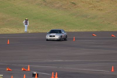 IMG_3675.JPG