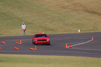 IMG_3708.JPG