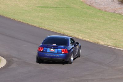 IMG_3886.JPG