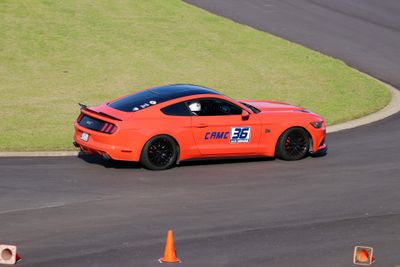 IMG_3919.jpg