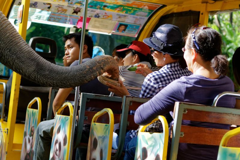 Chiang Mai Zoo, Thailand