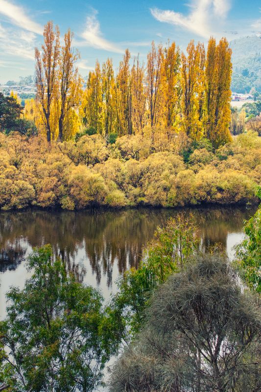 Norfick, Tasmania