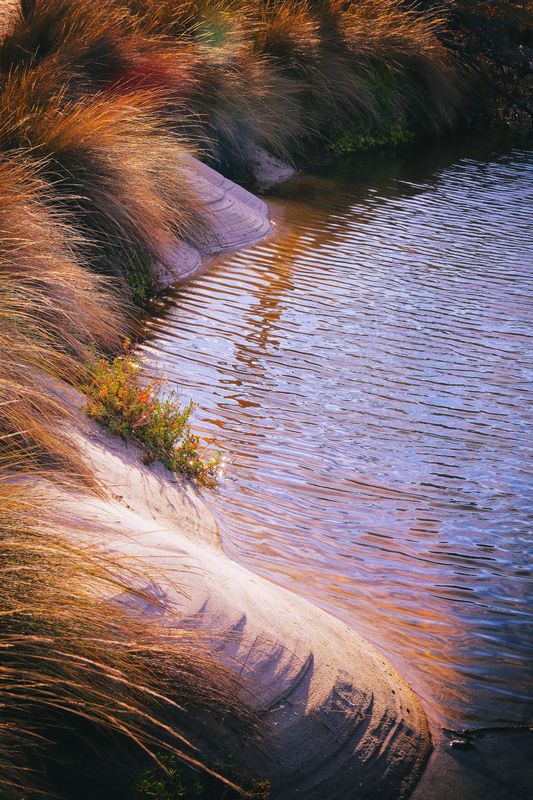 Shoreline