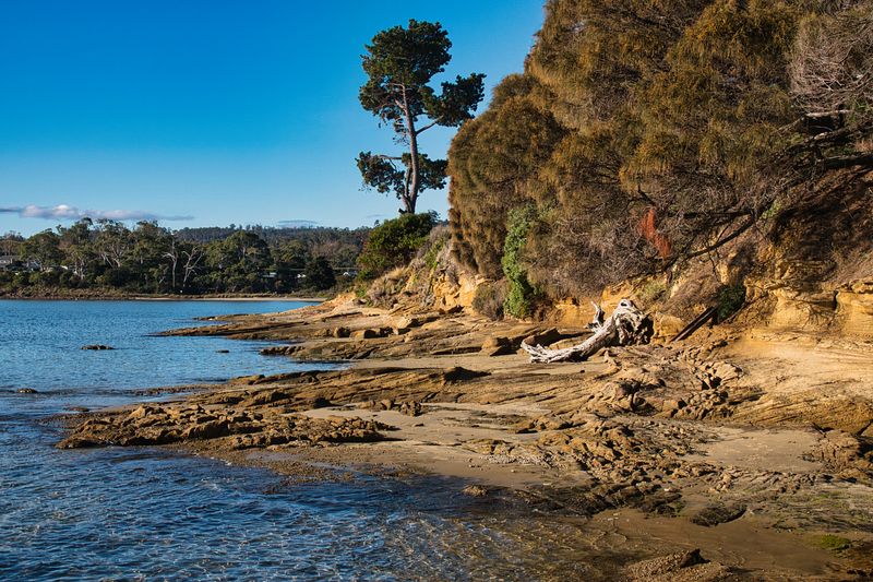 Shoreline