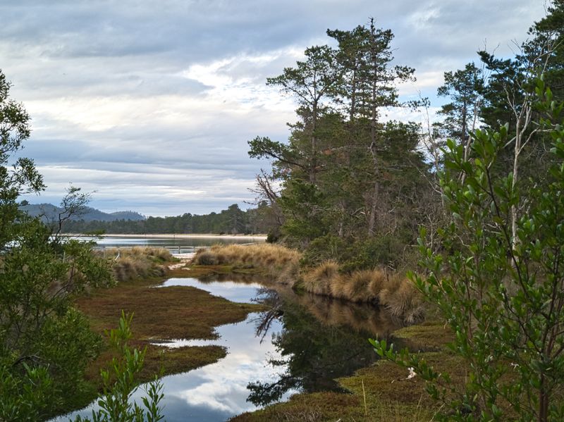 Landscapes