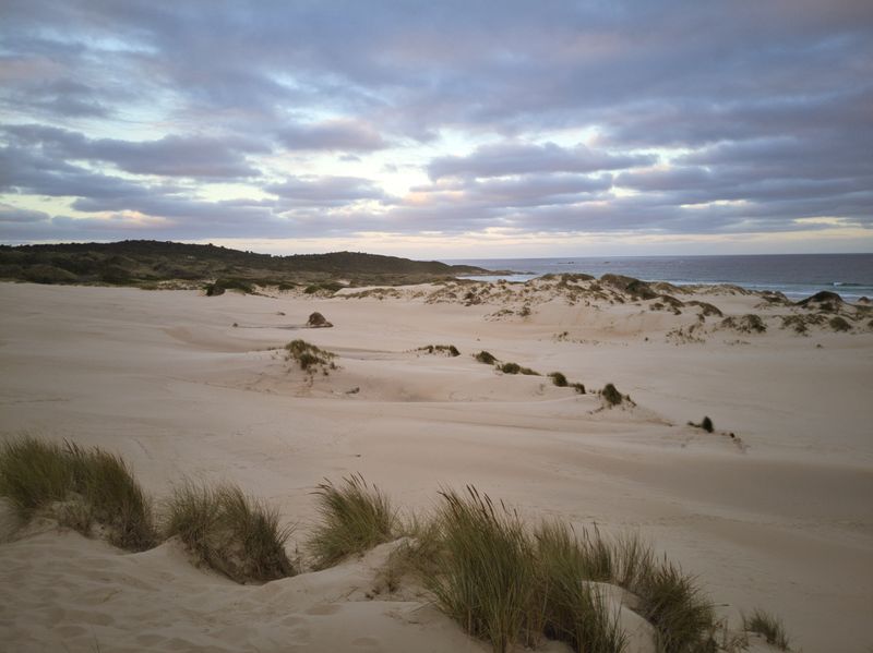 Shoreline