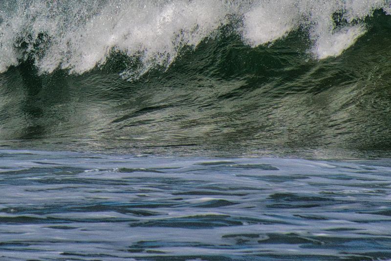 Shoreline