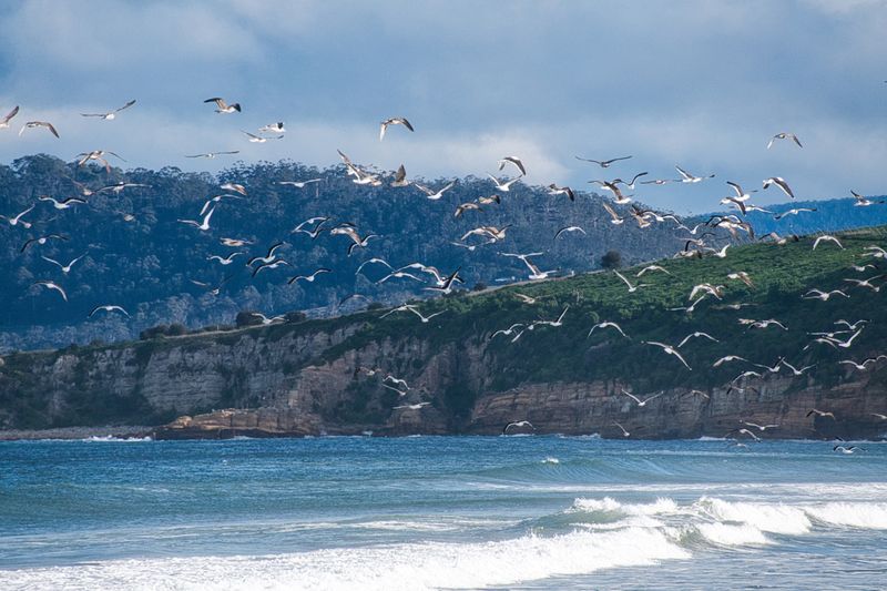 Coastal