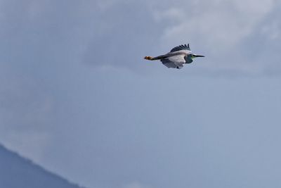 g13/82/586882/3/174410016.979f5d06.JPEG
