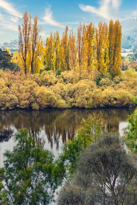 g13/82/586882/3/175525529.e3d2a596.JPEG