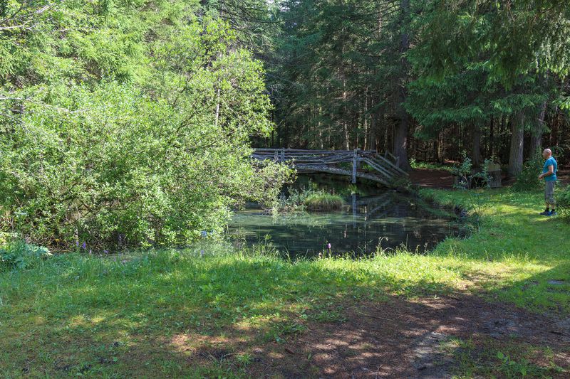 Estanque con puente, Lesach