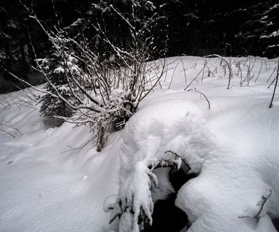 Gran nevada