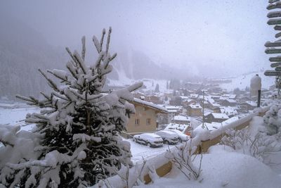 Arabba