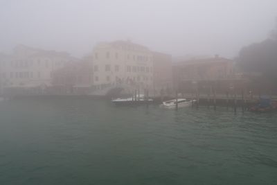 IMG_2874.jpg