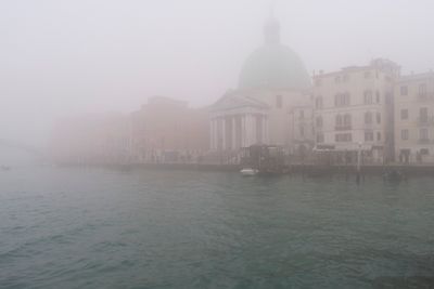 IMG_2876.jpg