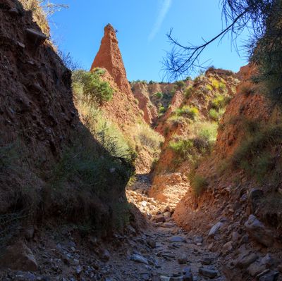 Cárcavas de El Pontón de la Oliva