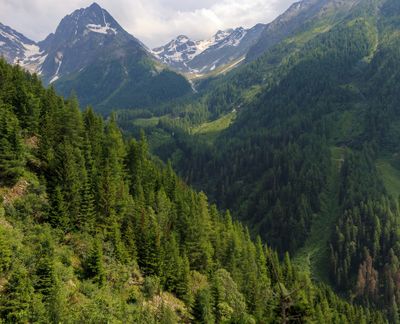 IMG_1841-Panormica.jpg
