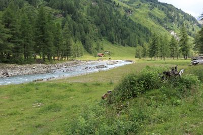 Bergeralm