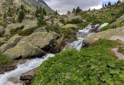 Dorfer See