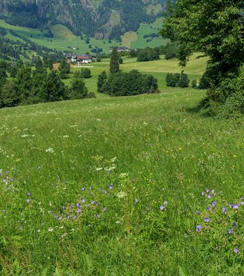 IMG_2004-Panormica.jpg