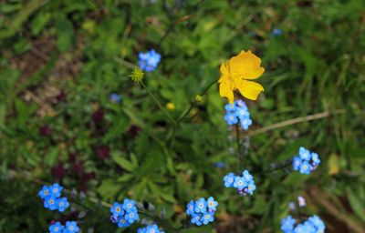 IMG_2063.jpg
