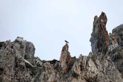 IMG_2069.jpg