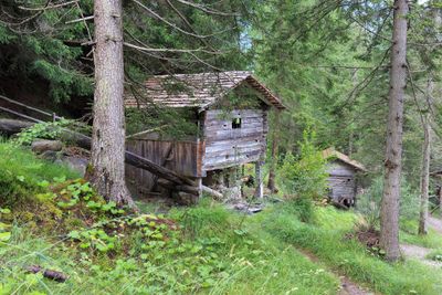IMG_2142.jpg