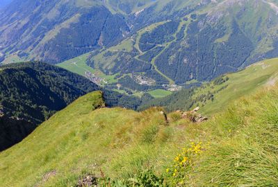 IMG_2170.jpg